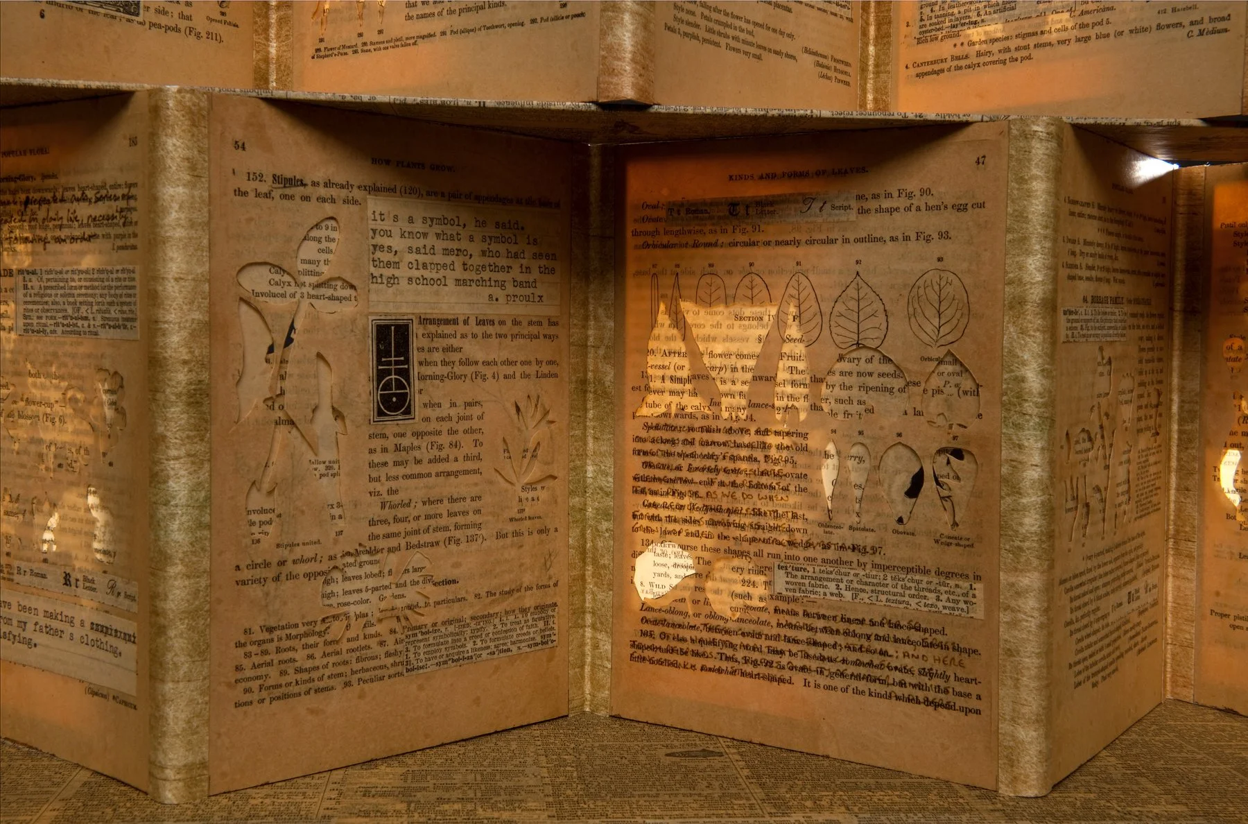 Palimpsest — Julie Leonard